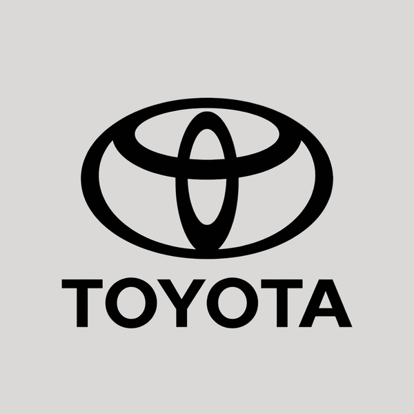 Toyota - Bruma Mágica