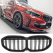 Grille BMW 1 Series F40 (2019-2026)