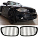 Grille BMW 1 Series E87 / E81 / E82 / E88 LCI (2007-2011)