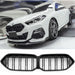 Grille BMW 2 Series F44 (2020-2026) – Gloss Black