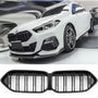 Grille BMW 2 Series F44 (2020-2026) – Gloss Black
