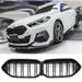 Grille BMW 2 Series F44 (2020-2026) – Matte Black