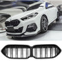 Grille BMW 2 Series F44 (2020-2026) – Matte Black