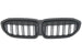 Grille BMW 3 Series G20 / G21 Pre-LCI (2019-2022) – view 2
