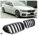 Grille BMW 5 Series G30 / G31 Pre-Facelift (2017-2020)