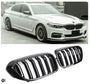 Grille BMW 5 Series G30 / G31 Pre-Facelift (2017-2020)