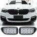 Grille BMW 5 Series G30 / G31 Pre-Facelift (2017-2020)