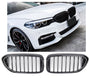 Grille BMW 5 Series G30 / G31 (2017-2020)