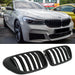 Grille BMW 6 Series G32 Pre-LCI (2017-2020)