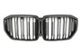 Grille BMW X5 G05 LCI (2023-2026)