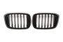 Grille BMW X3 / X4 G01 / G02 Pre-LCI (2017-2021)