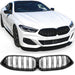 Grille BMW 8 Series G14 / G15 / G16 Pre-LCI (2018-2022) – Gloss Black