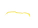 Motordrome Roof Spoiler Citroen C3 Mk4 – view 8