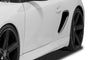 Air Intake Covers for Porsche Boxster / Porsche Cayman 987 2004-2012 (AI023)