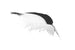 Rear Spoiler | Rear Wing with ABE for Mercedes CLK-Class A209 / C209 2002-2010