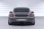 Rear Spoiler | Rear Wing with ABE for Porsche Cayman 987c 2004-2013