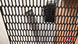 Application of Honeycomb Plastic Mesh - Para-Choques - Bruma Mágica - 