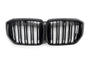 Grille BMW X5 G05 LCI (2023-2026)