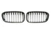 Grille BMW 1 Series F20 / F21 LCI (2015-2019)