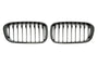 Grille BMW 1 Series F20 / F21 LCI (2015-2019)