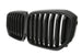 Grille BMW X5 G05 LCI (2023-2026) – view 2