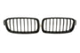 Grille BMW 3 Series F30 / F31 (2011-2019) – view 2