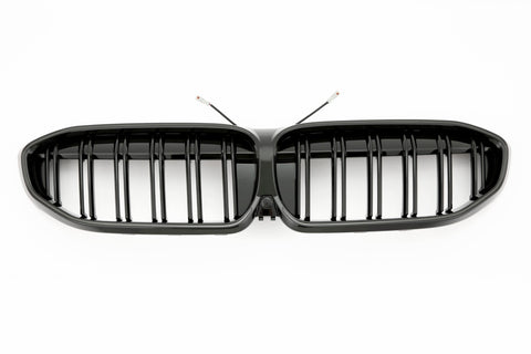 LED Grille BMW 3 Series G20 / G21 Pre-LCI (2019-2022) - GCP Gloss Black