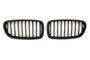 Grille BMW 5 Series F10 / F11 (2010-2017)