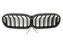 LED Grille BMW 5 Series G30 / G31 LCI (2020-2023)
