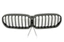 LED Grille BMW 5 Series G30 / G31 LCI (2020-2023)
