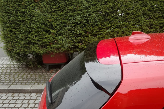 Rear Wing Spoiler BMW F20- F21 - Aileron - Componor - 0103115