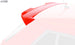 Roof Spoiler for SKODA Fabia 3 (NJ/5J) Rear Wing - RDX - Rear Spoiler - RDX - RDDS145